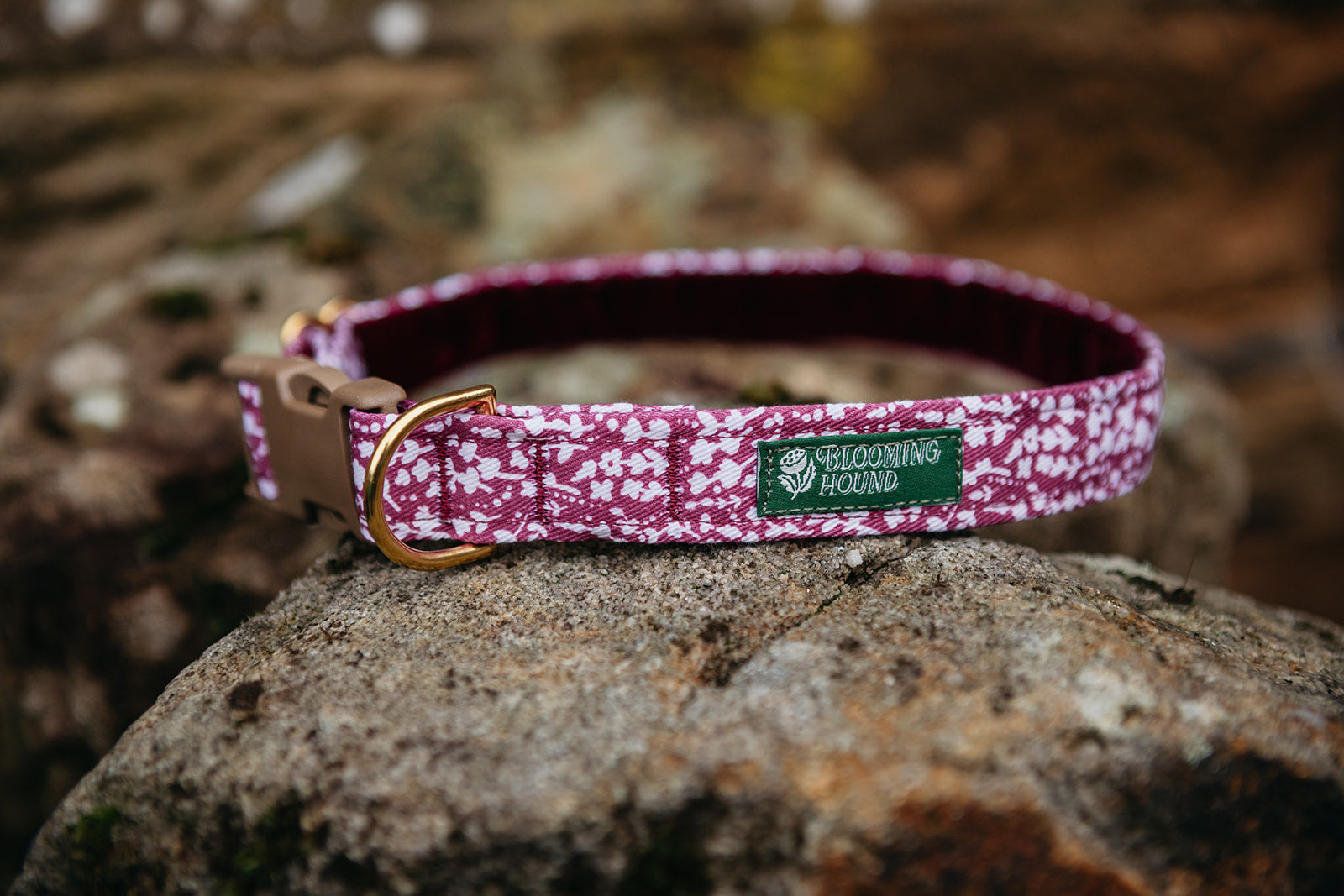 Dog collar on a rock with pink floral Heather pattern, Blooming Hound label, brass hardware, and acetal buckle.