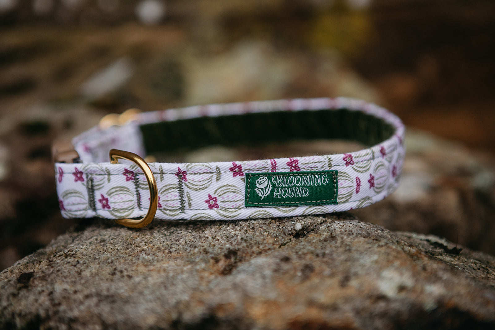 Dog collar on a rock with floral Seed Pod pattern, Blooming Hound label, brass hardware, and acetal buckle.