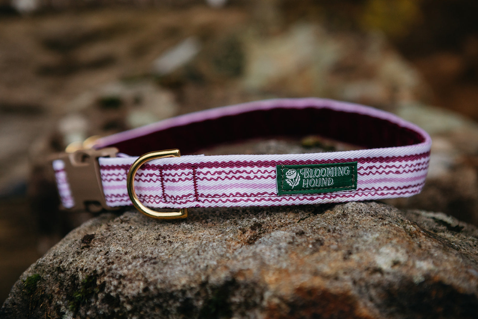 Dog collar on a rock with pink and purple striped Heather Trail pattern, Blooming Hound label, brass hardware, and acetal buckle.