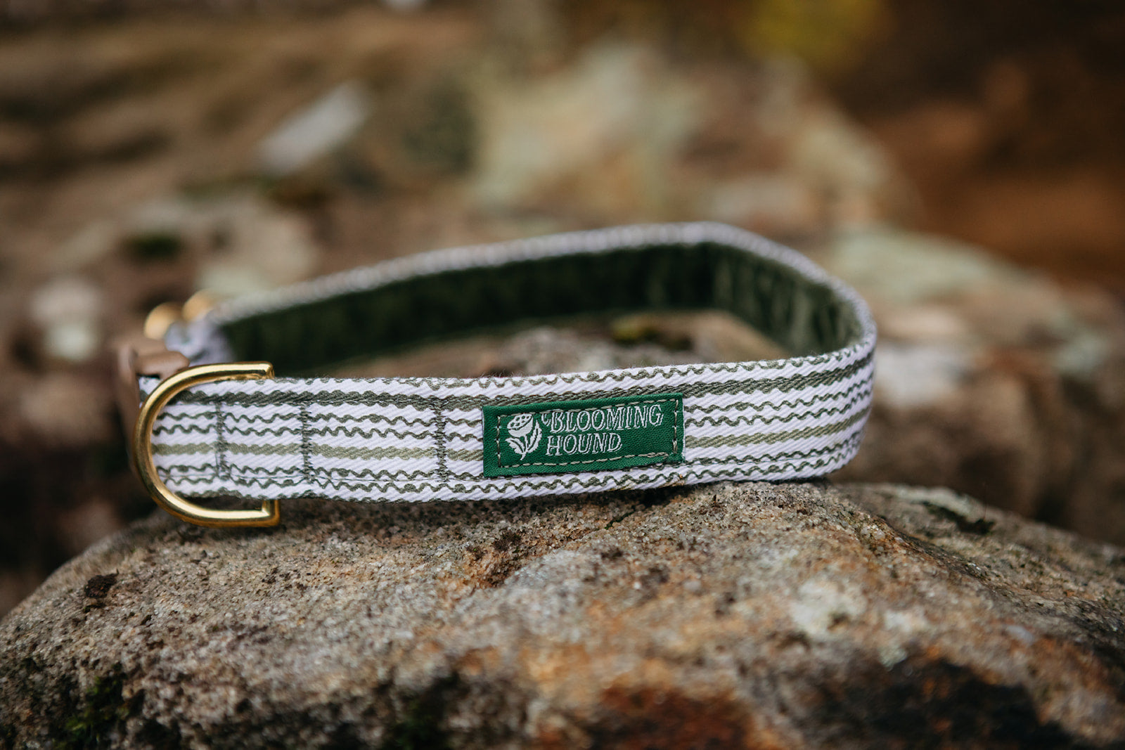 Dog collar on a rock with green striped Moss Trail pattern, Blooming Hound label, brass hardware, and acetal buckle.