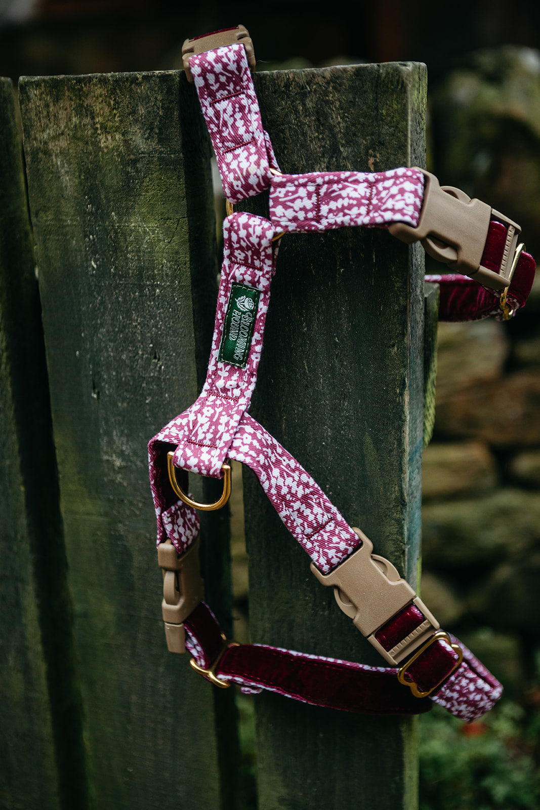 The Adventure Duo (Harness & Lead)