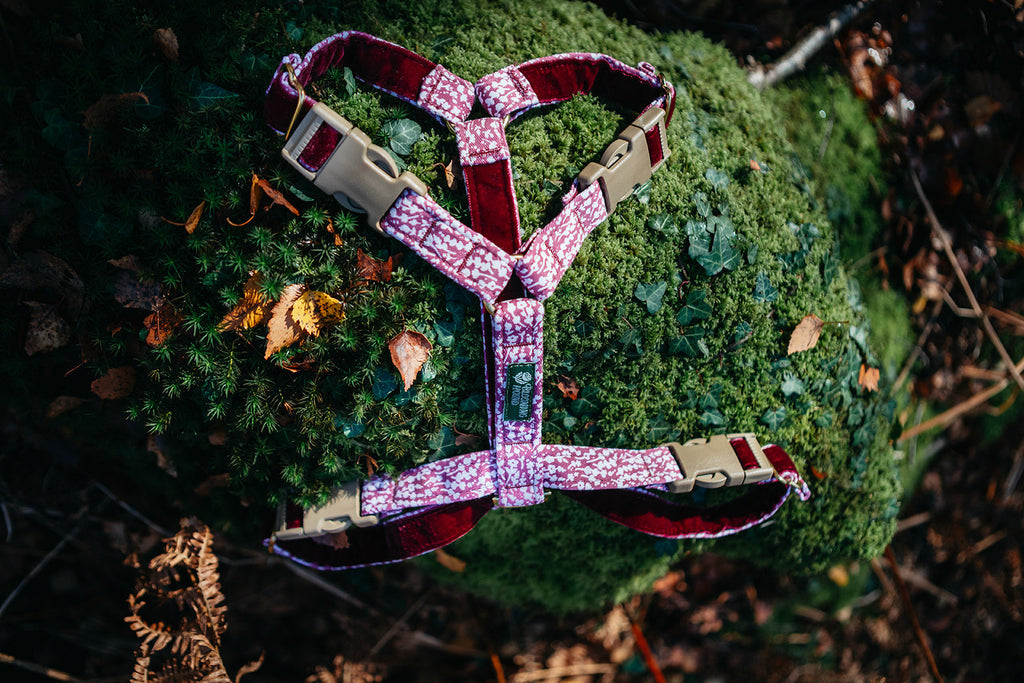 Blooming Hound strap-only dog harness in Bloom print with pink and red patterns on a green mossy surface.