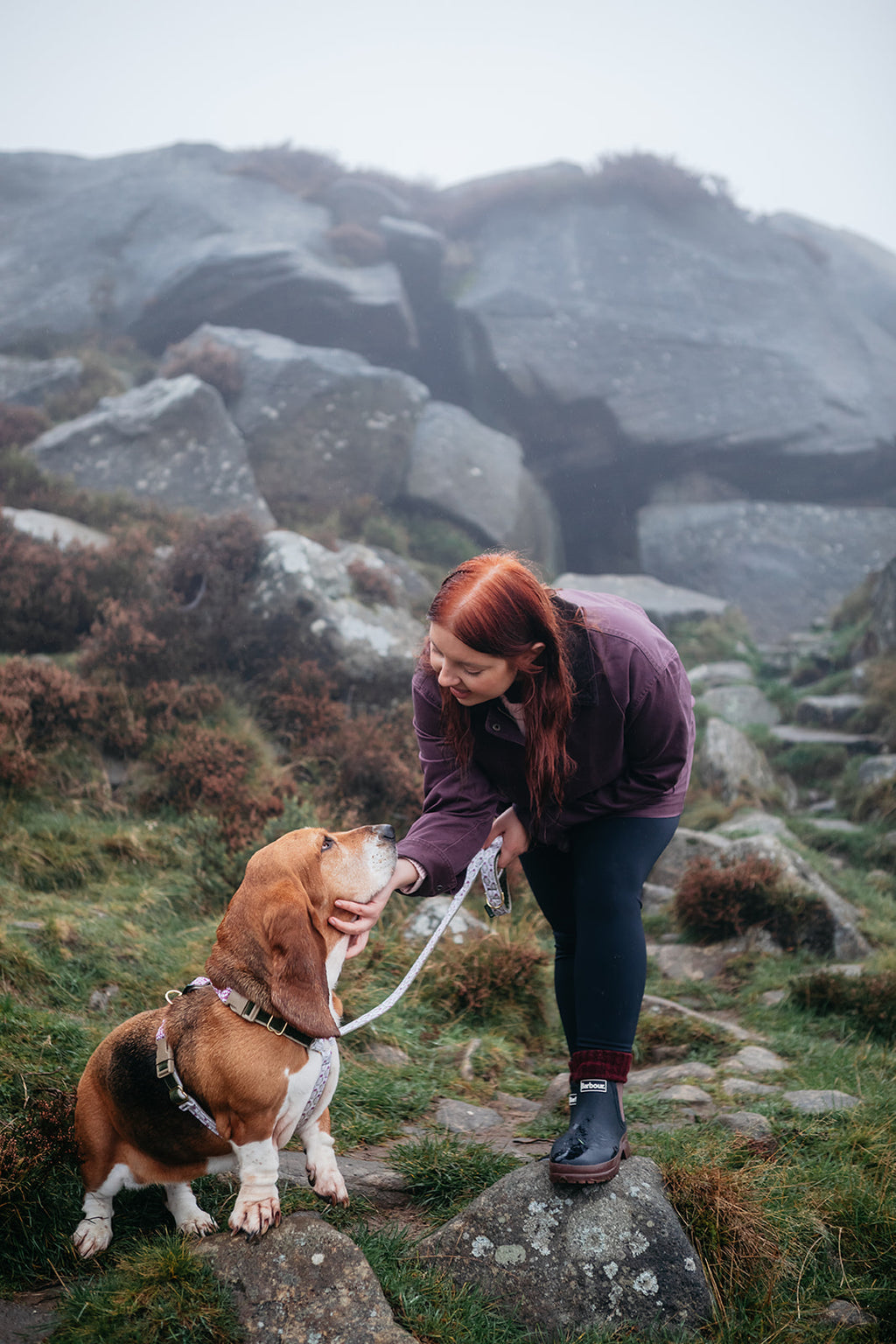 The Explorer Trio (Harness, Collar & Lead)