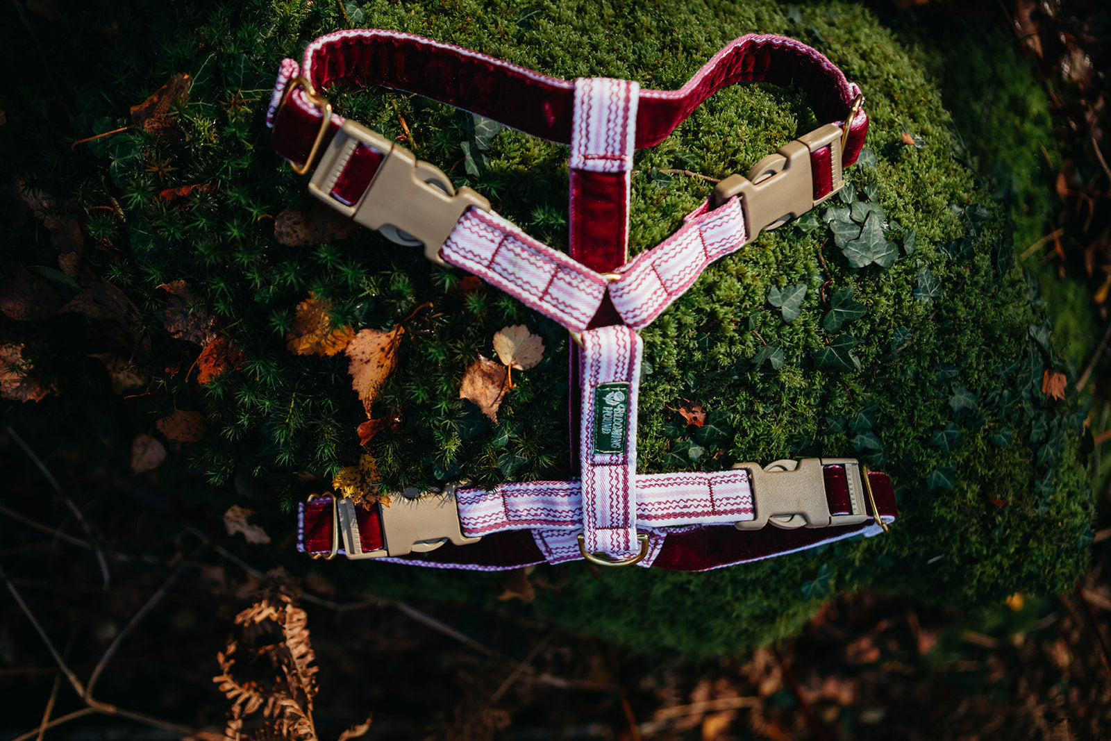 Blooming Hound dog harness in Heather Trail print set on a textured surface with a natural background
