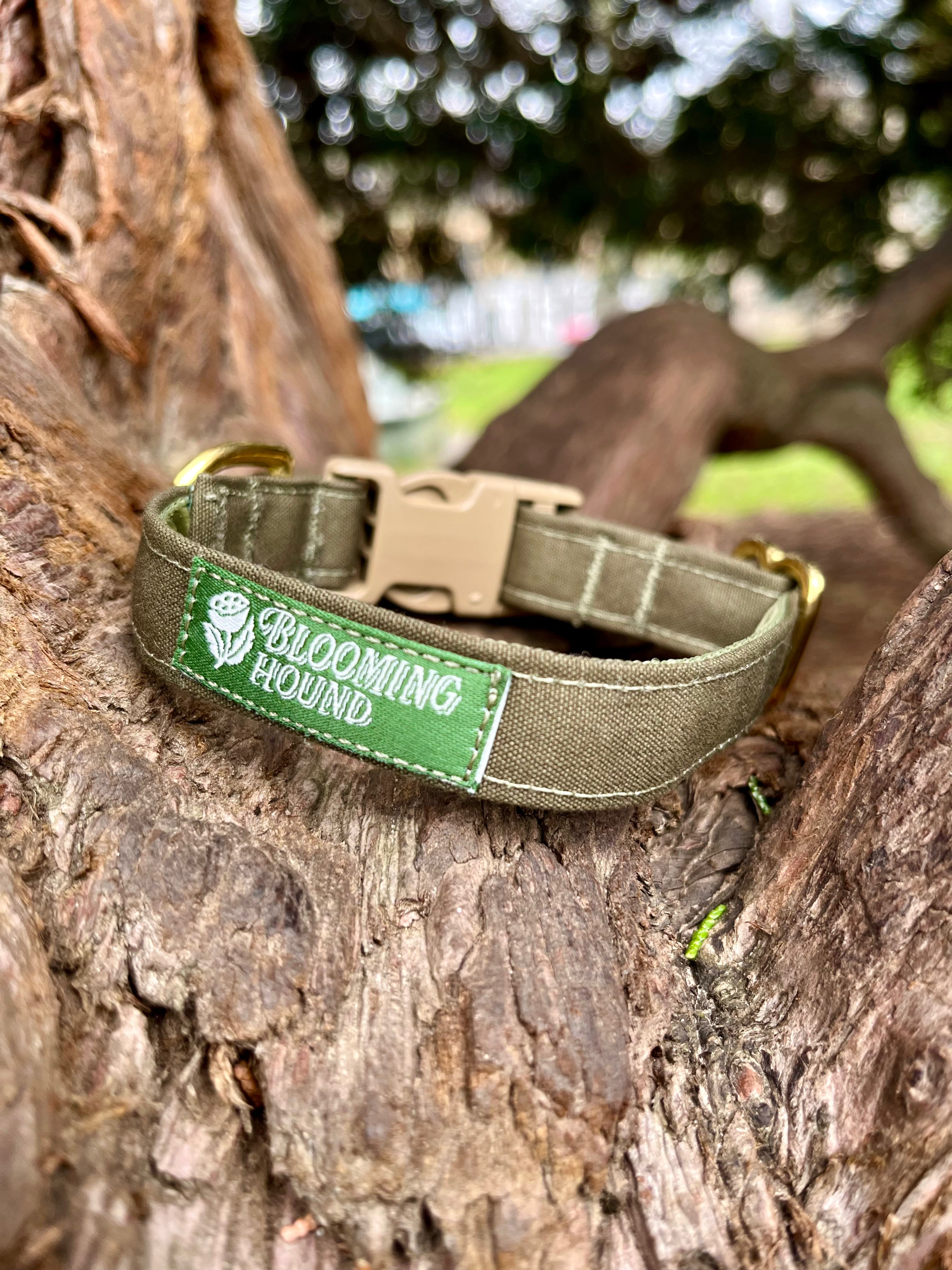 Lichen Waxed Canvas Collar