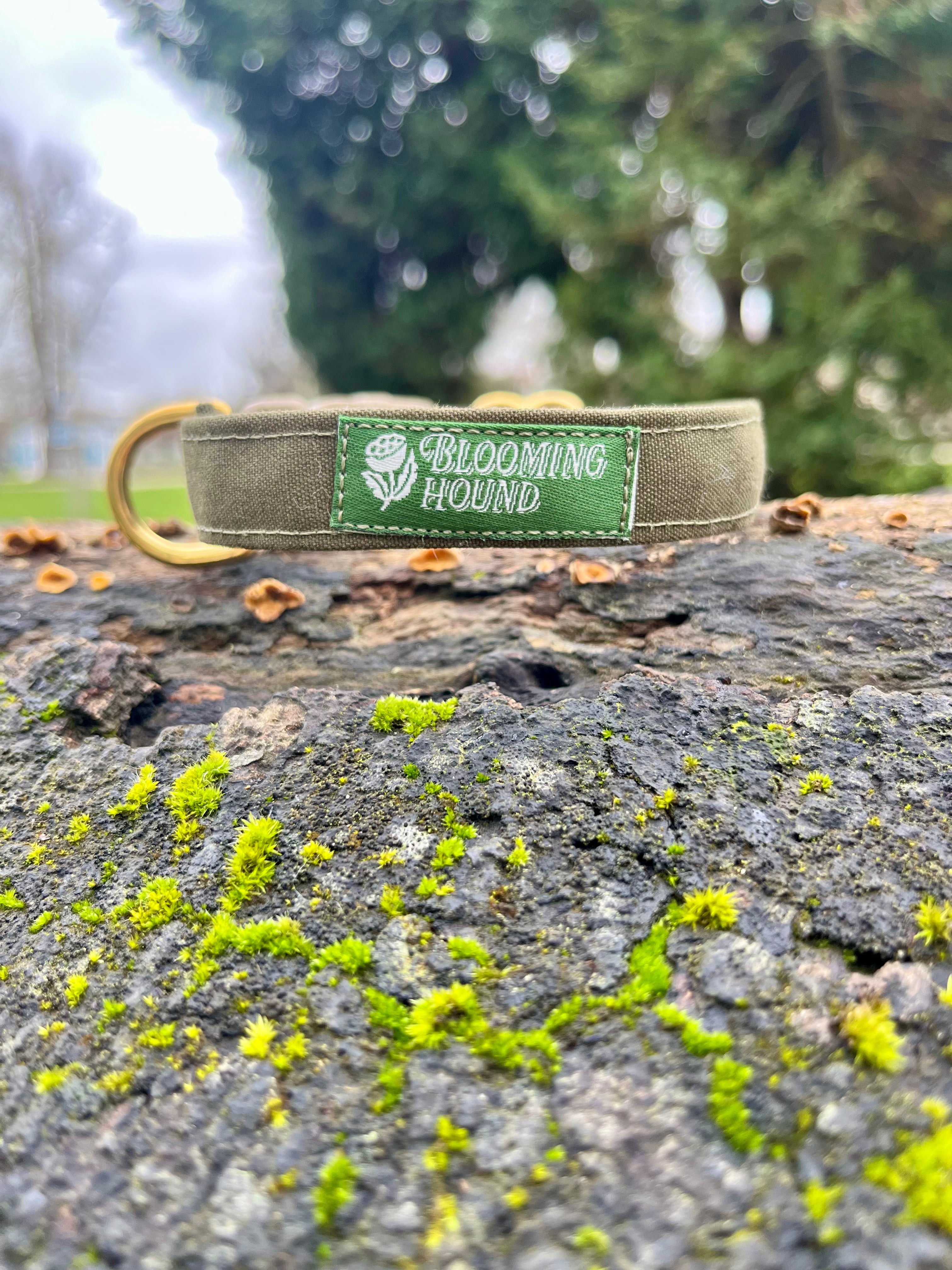 Lichen Waxed Canvas Collar 