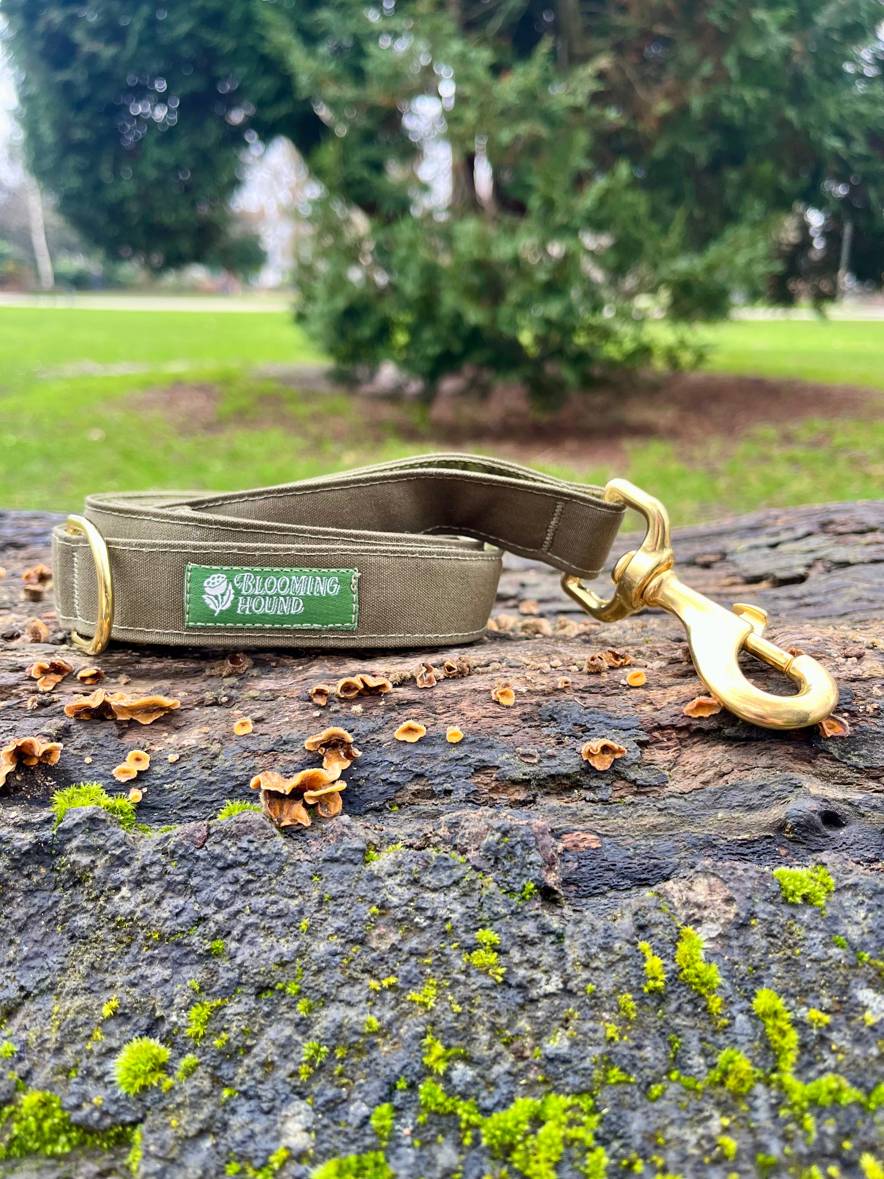 Lichen Waxed Canvas Lead