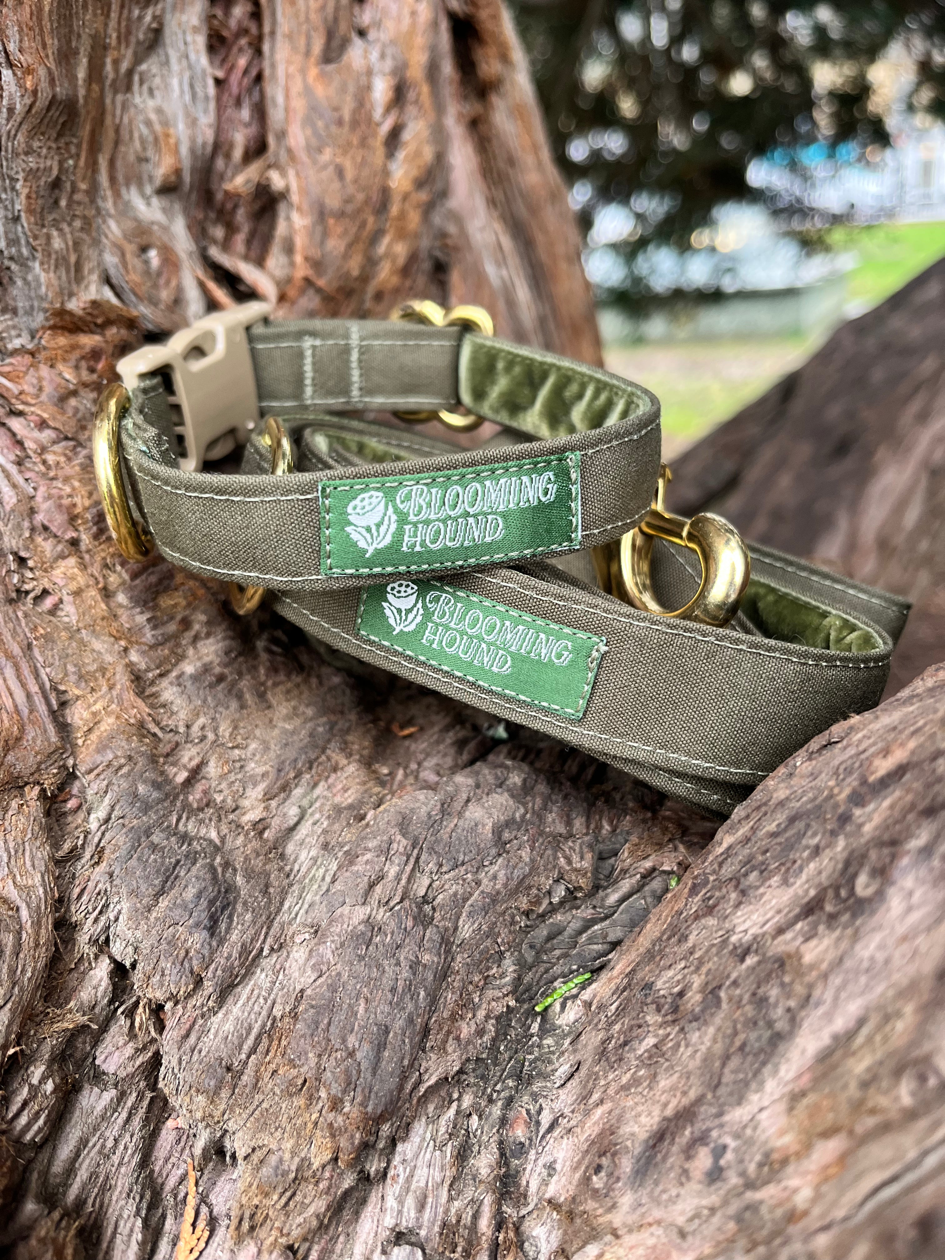 Lichen Waxed Canvas Walking Set