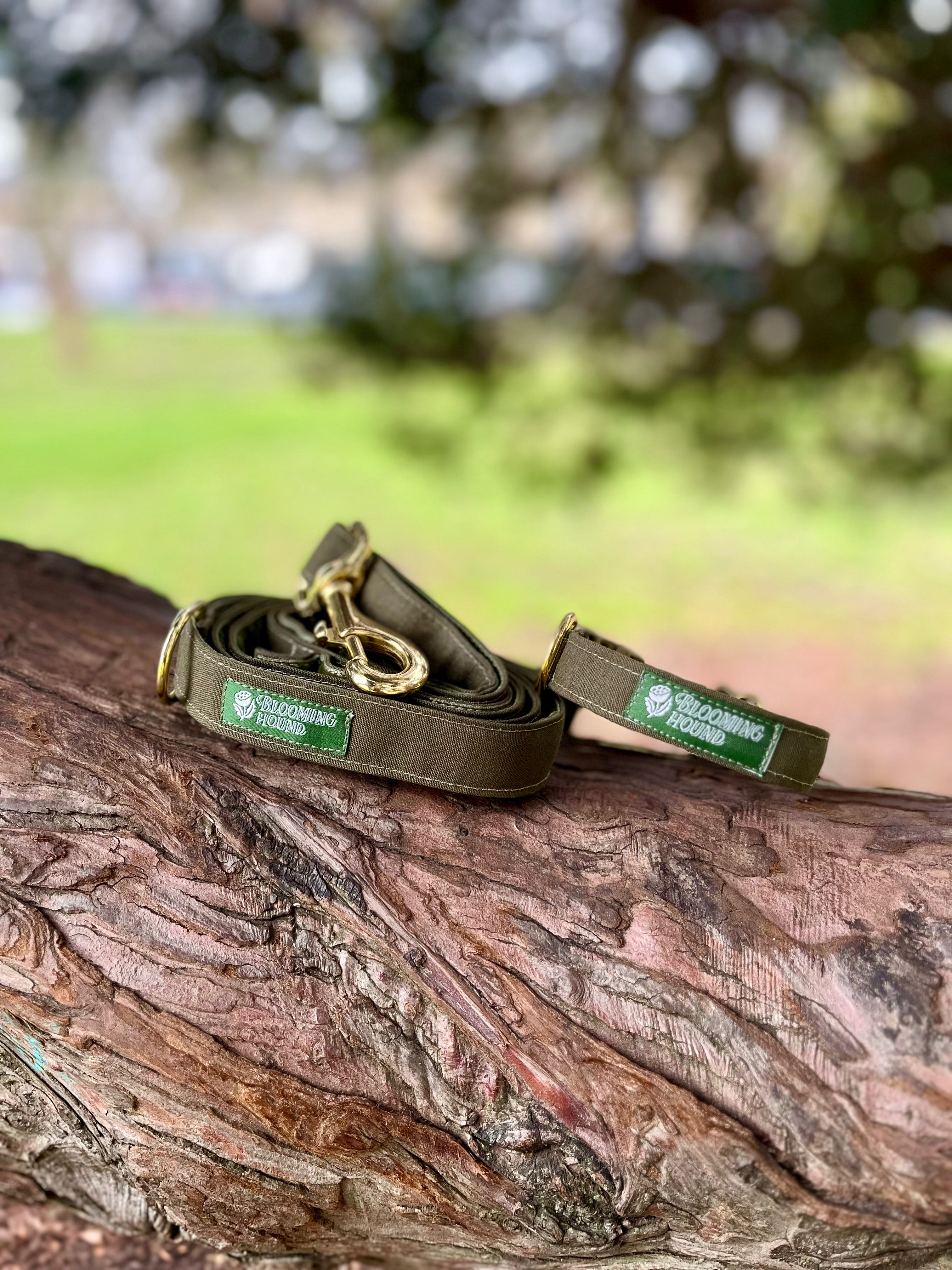 Lichen Waxed Canvas Walking Set