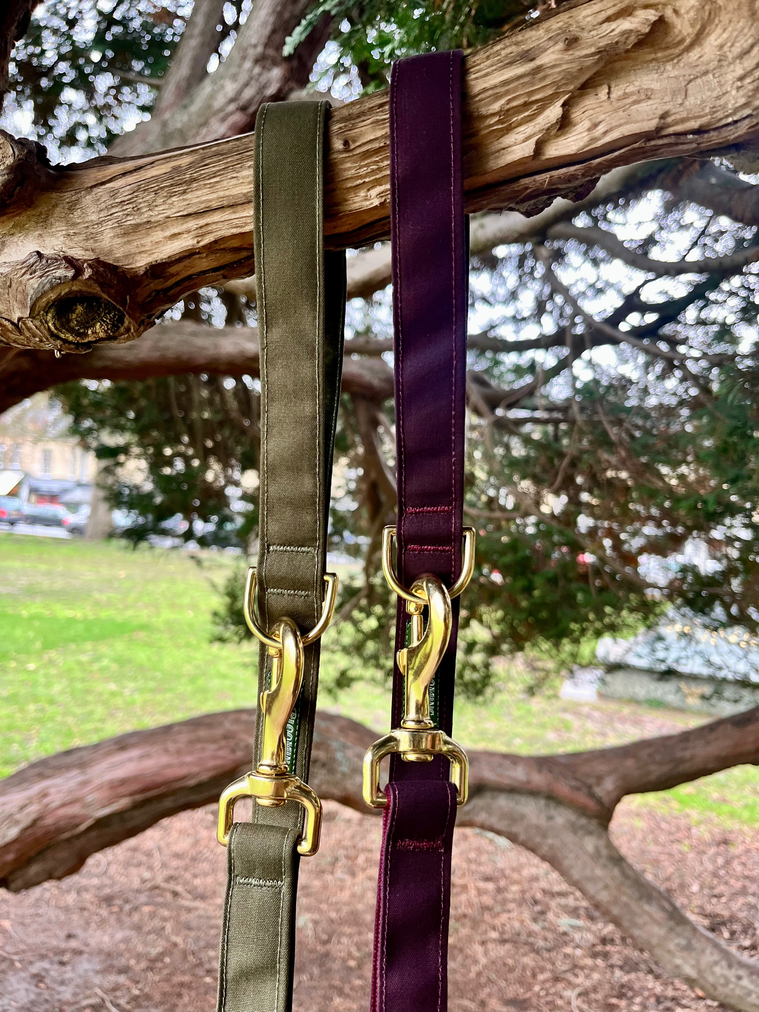 Moor & Lichen Waxed Canvas Dog Leads