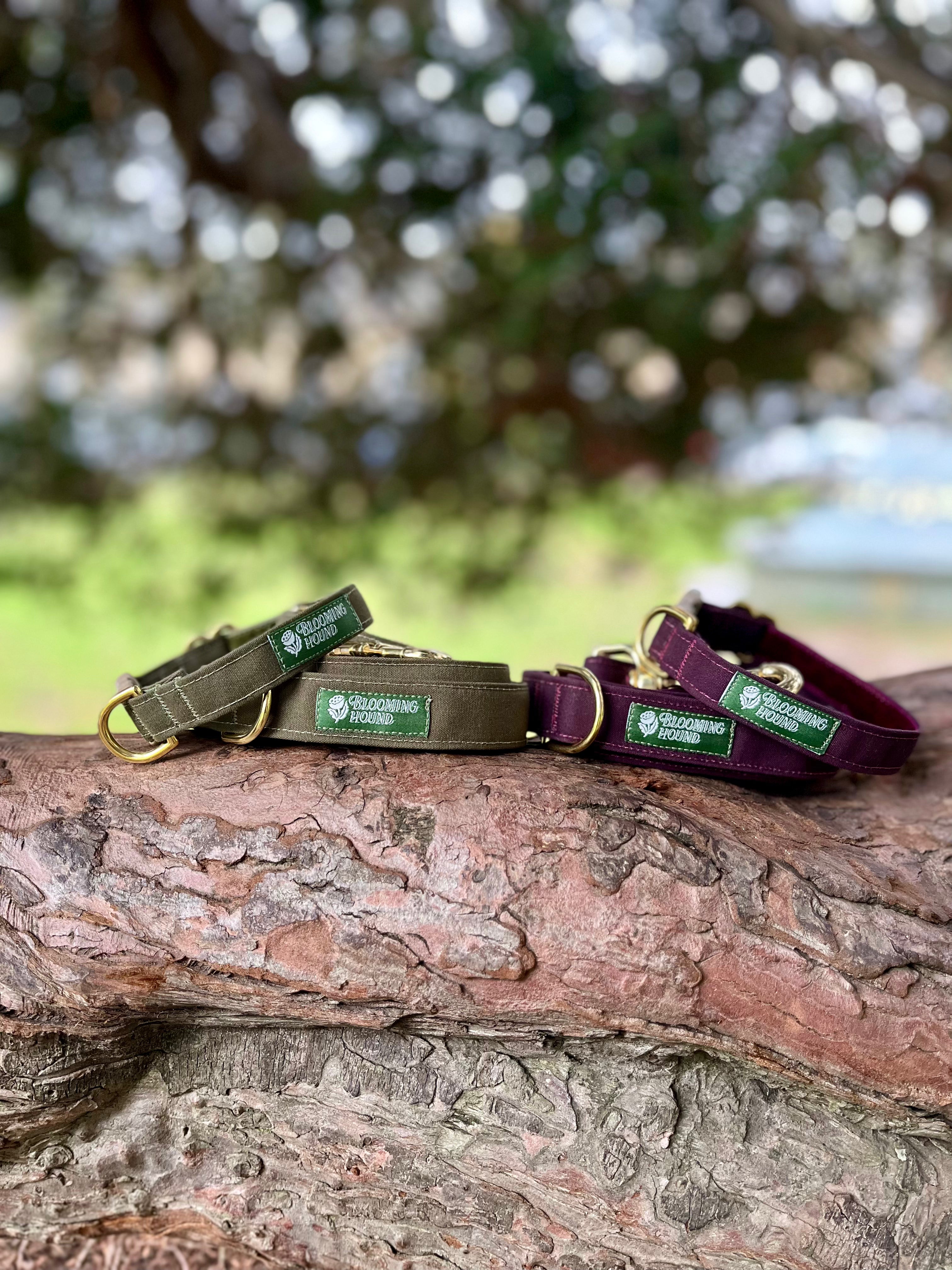 Waxed Canvas Collar & Lead Set (Limited Edition)