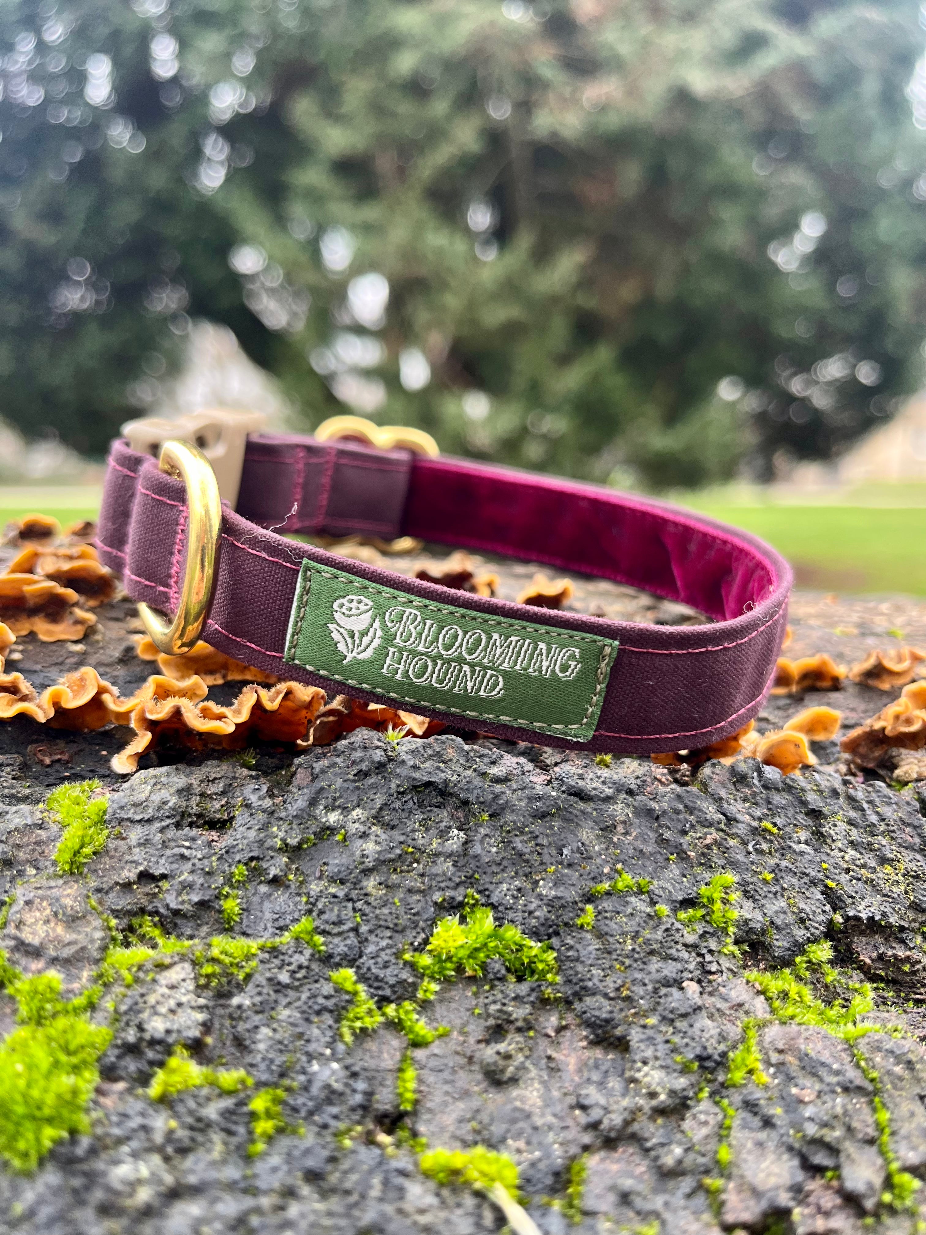 Moor Waxed Canvas Collar