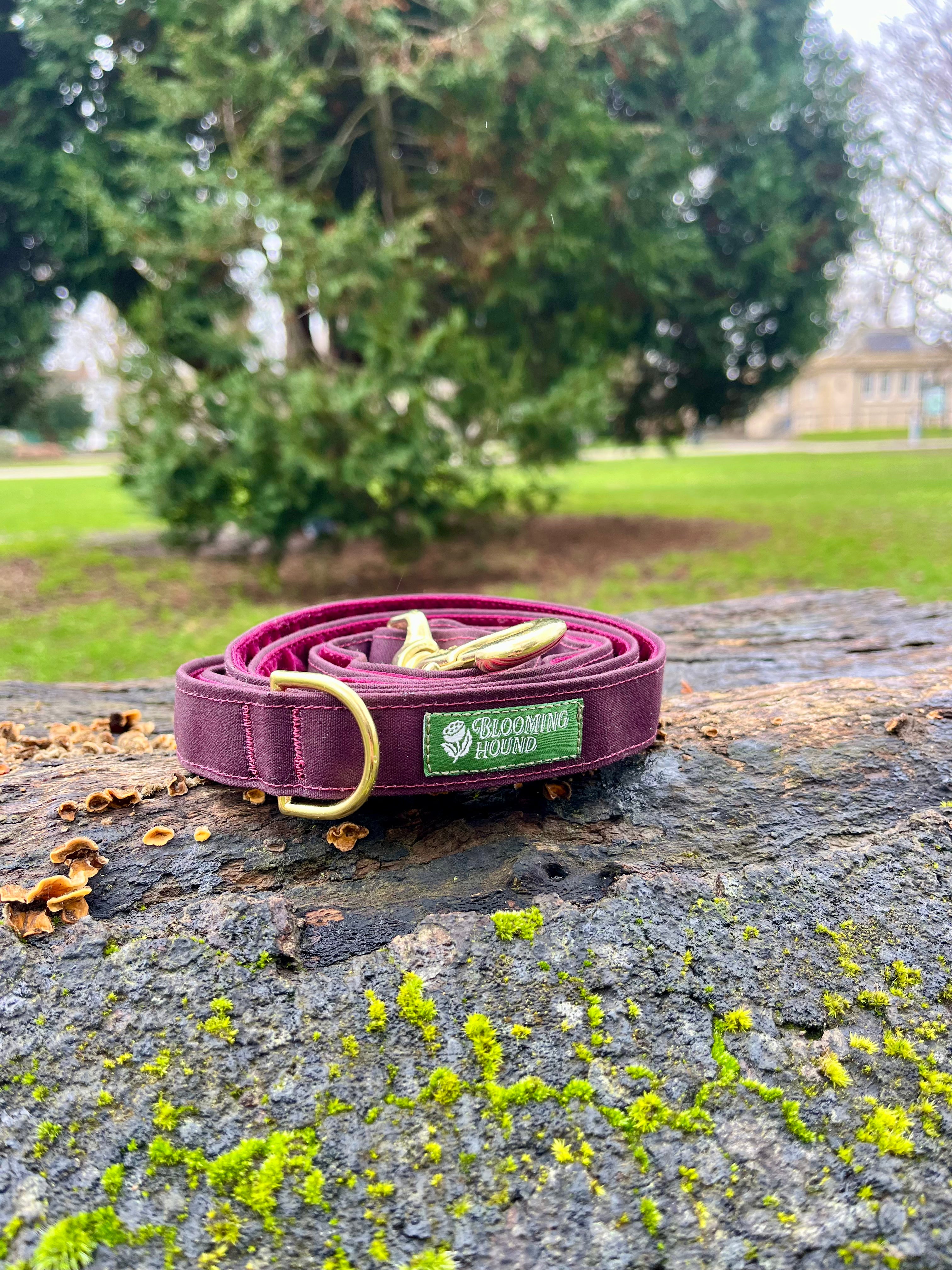 Moor Waxed Canvas Dog Lead