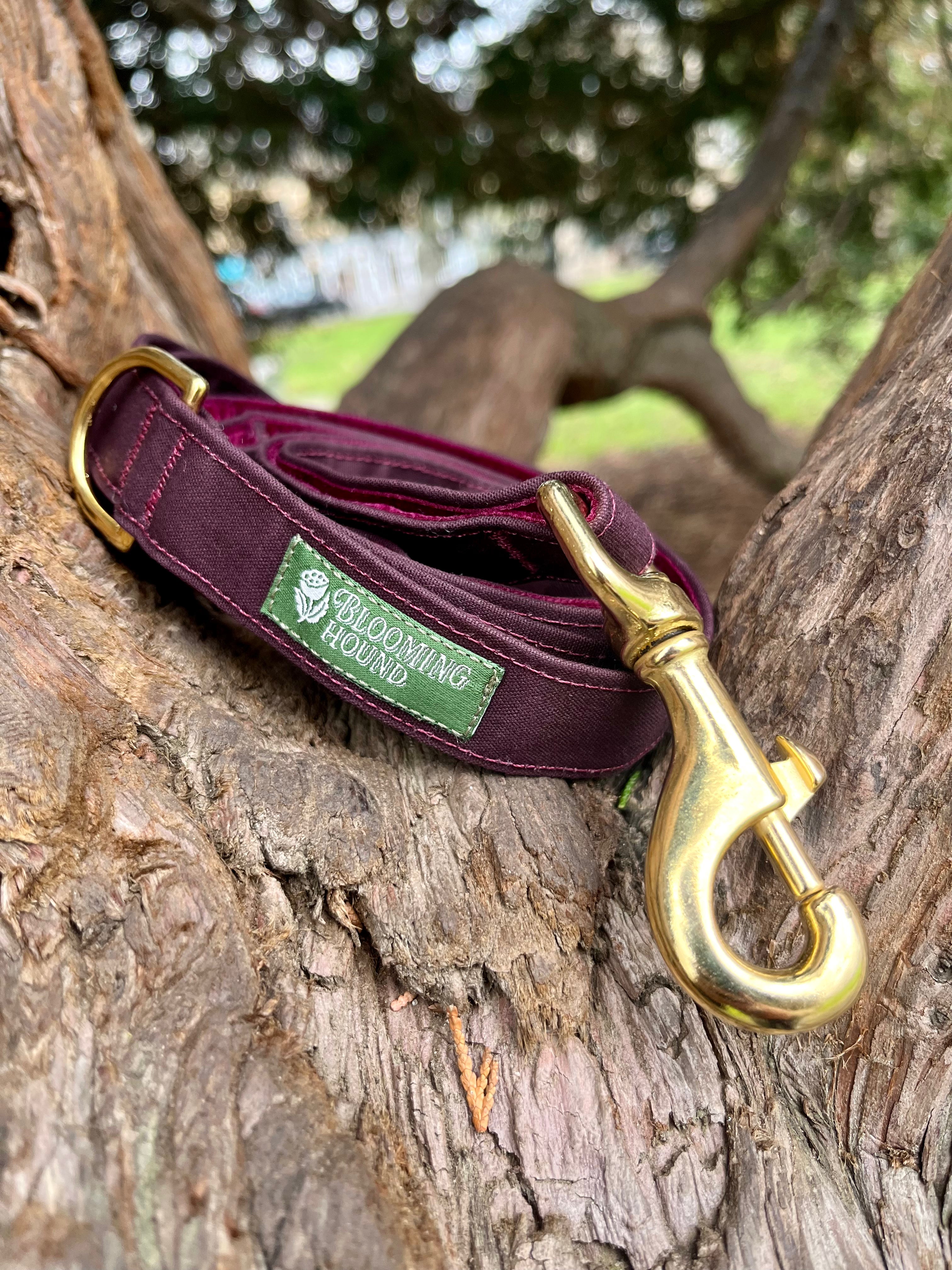 Moor Waxed Canvas Lead 