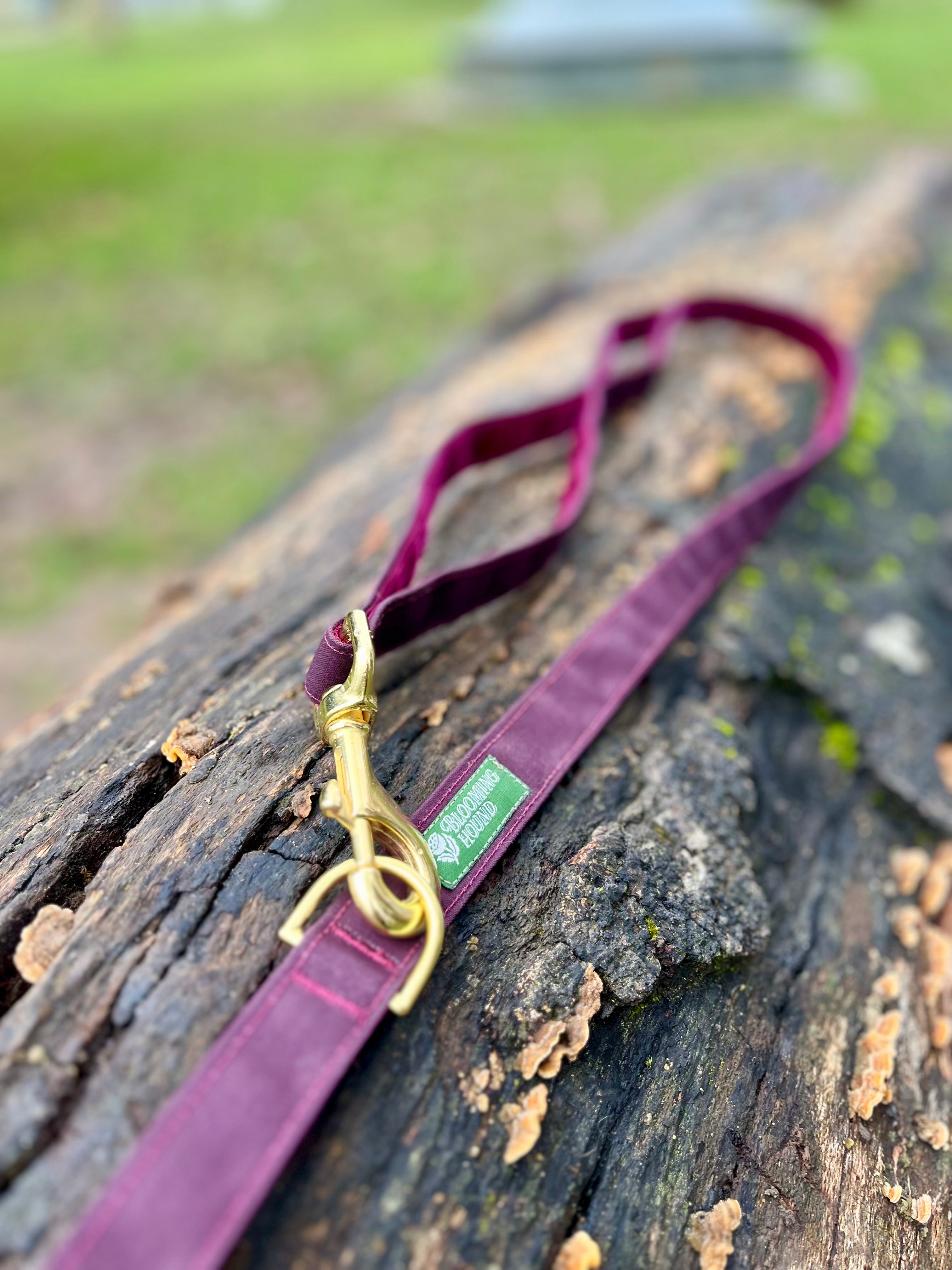 Moor Waxed Canvas Lead