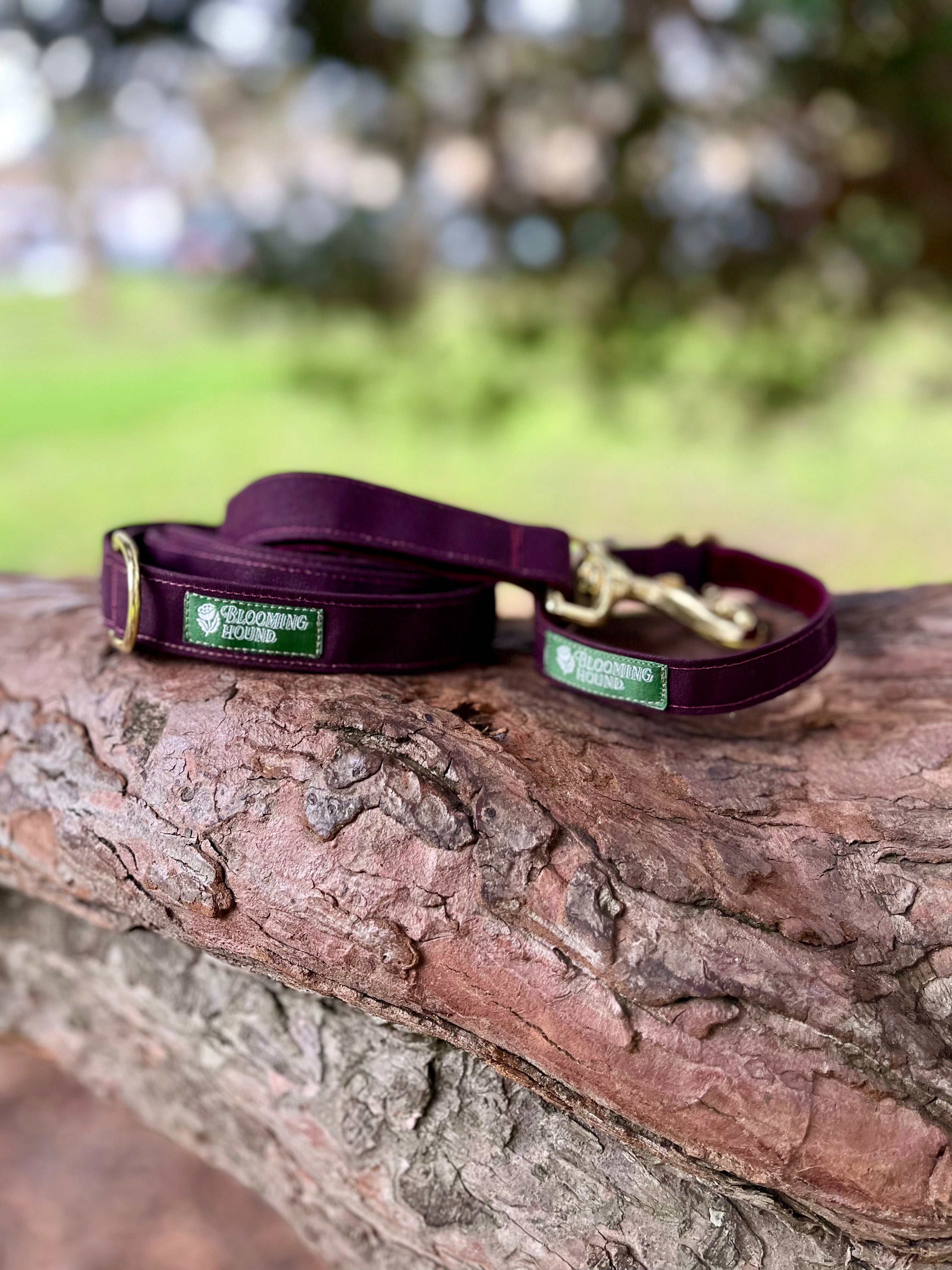 Moor Waxed Canvas Walking Set