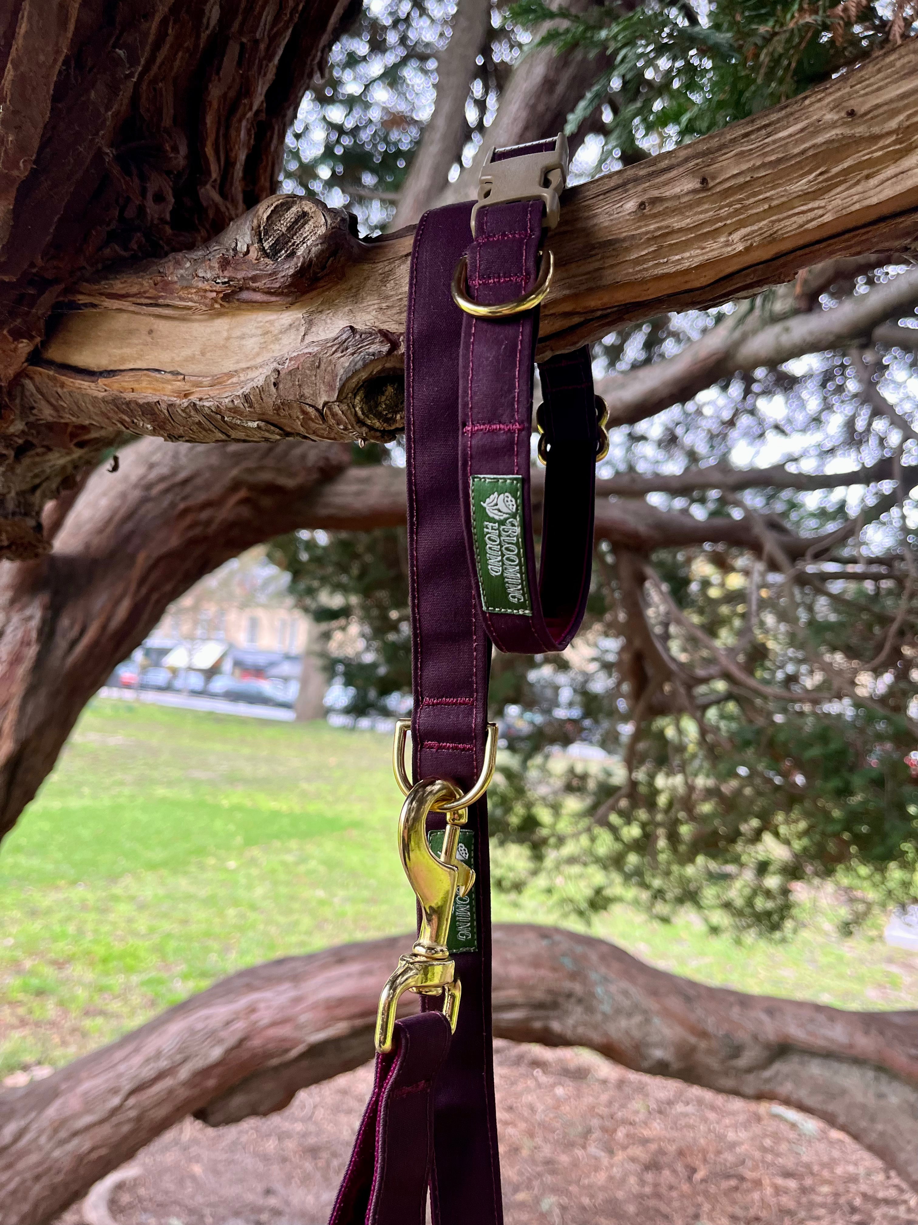 Waxed Canvas Collar & Lead Set (Limited Edition)