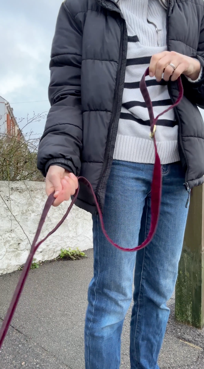 Waxed Canvas Lead (Limited Edition)